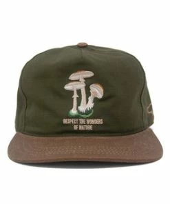 The Ampal Creative T.A.C Respect Wonders II Green